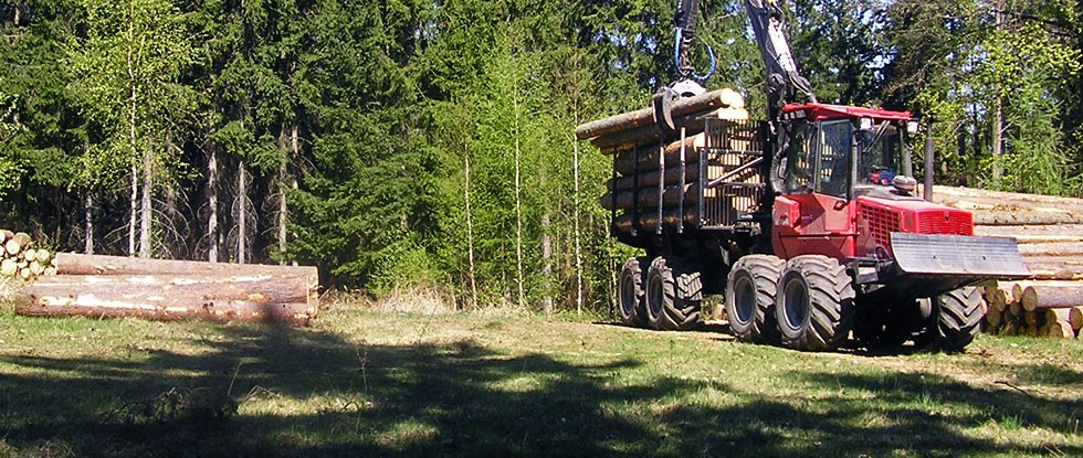 Nabízíme komplexní služby v oboru lesnictví
Pro svoji činnost využíváme vlastní moderní techniku, která zaručuje efektivní práci.